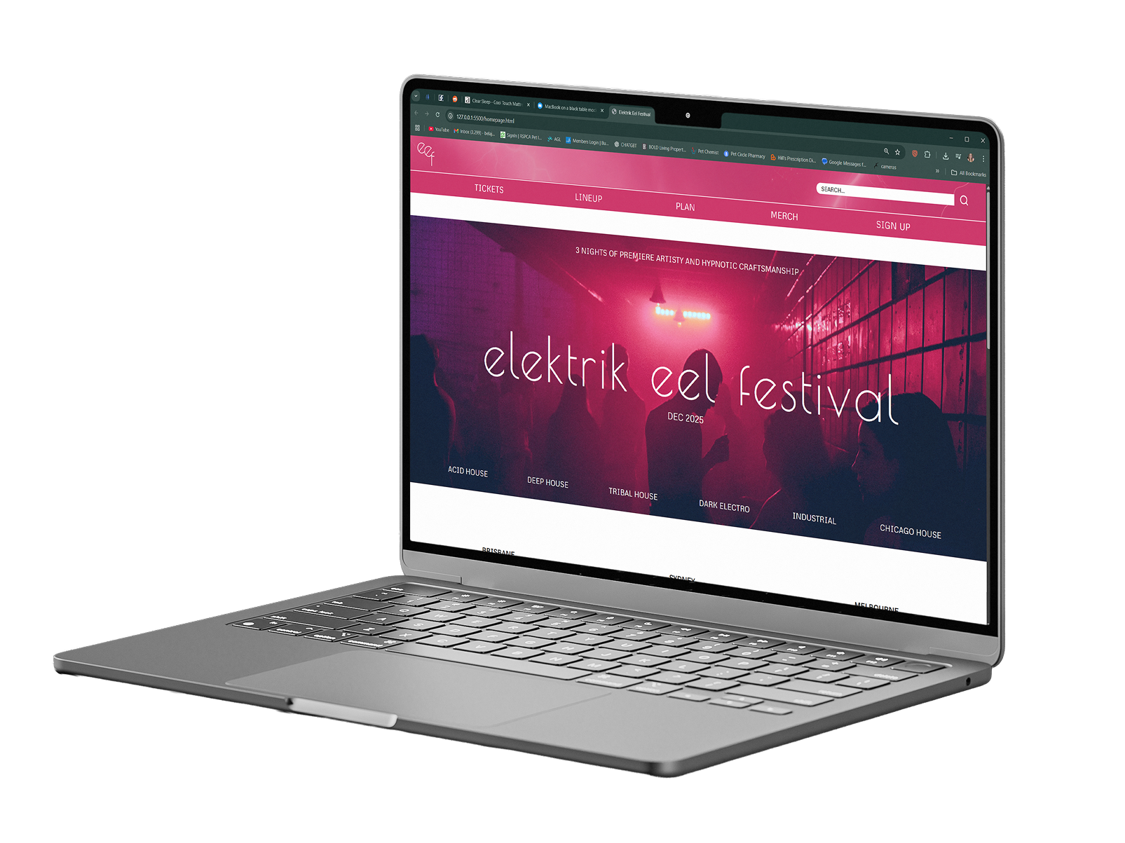 elektrik_eel_festival
